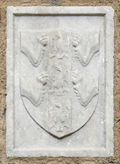 Blazon Prints: Coat of Arms of the Brancaccio Imbriani Family