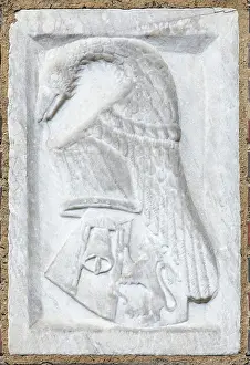 Blazon Prints: Coat of Arms of Niccolo Sottile (?)