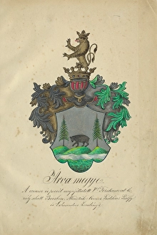 Orava Gallery Prints: Coat of arms of Orava counties, 1904-1910. Creator: Adolf Medzihradsky