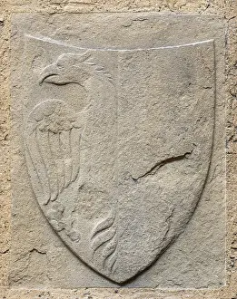 Blazon Prints: Coat of Arms, probably of the Della Gherardesca Family, 14th century. Creator: Unknown