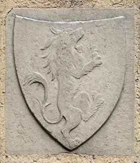 Blazon Prints: Coat of Arms, probably of the Nini Family, between 14th and 15th century. Creator: Unknown