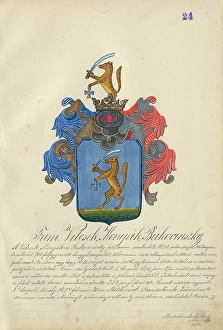 Orava Gallery Prints: Coat of arms of the Vilcek, Monak, Bukovinska families, 1904. Creator: Adolf Medzihradsky