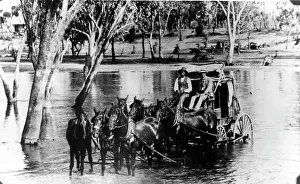 Ford Prints: Cobb and Co coach, Old Gympie Road, Kallangur, c1880s. Creator: Unknown