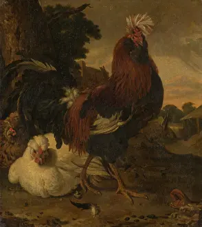 Chicken Prints: Cock in a Barnyard, 18th century. Creator: Unknown