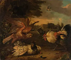 Behaviour Prints: A Cock Defends a Hen from an Attacking Bird of Prey