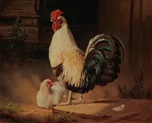 Yard Prints: Cock and Hen, 1867. Creator: Ferdinand von Wright