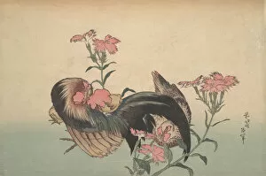 Carnation Gallery: Cock, Hen, and Nadeshiko (Dianthus Superbus). Creator: Hokusai