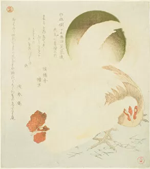 Closeup Gallery: Cock, Hen, and Rising Sun, from the series 'Seven Bird-and-flower Prints for the Fuyo... c. 1810
