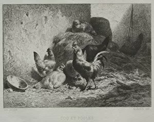 Charles émile Jacque French Gallery: Cock and Hens. Creator: Charles-Emile Jacque (French, 1813-1894)