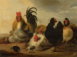 Rooster Prints: Cock and Hens in a Landscape, 1651. Creator: Gijsbert d'Hondecoeter
