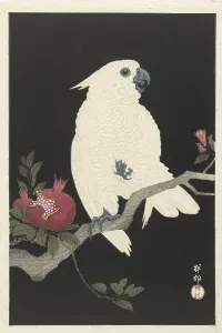Landscapeanimals And Birds Prints: Cockatoo and pomegranate, 1925-1936. Creator: Ohara, Koson (1877-1945)
