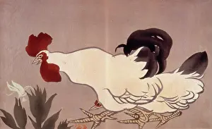 Rooster Prints: A cockerel. Creator: Anon