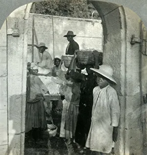 Cocoa Bean Prints: Cocoa Fresh from the Pods, Dominica, B. W. I. 1893. Creator: Keystone View Company