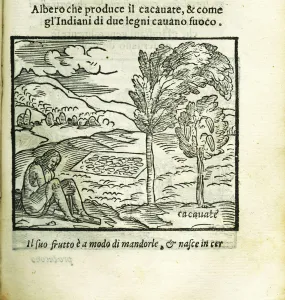 Cacao Prints: The cocoa tree. From Historia del Mondo Nuovo by Girolamo Benzoni