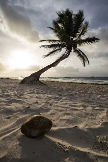 Sand Gallery: Coconut Paradise. Creator: Joshua Johnston