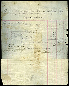 Coconut Gallery: Coconut sales receipt, Barbados to London, 1881