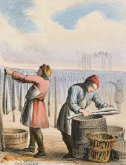 Benjamin Waterhouse Prints: Cod Curing, c1845. Artist: Benjamin Waterhouse Hawkins