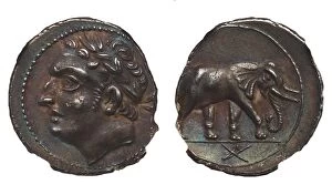 Elephant Collection: Coin of Hannibal Barca. Carthage. (Obverse: Hannibal, Reverse: Elephant), ca. 213-210 BC