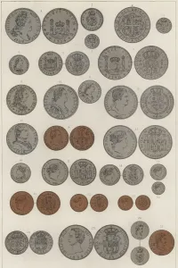Coins minted by Kings of Madrid. Philip V, Louis I, Ferdinand VI, Charles III, Charles IV