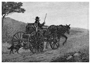 Trapper Prints: A Colac Rabbit Trapper, 1886. Artist: Frederic B Schell