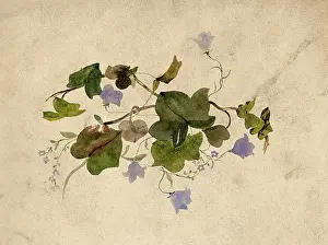 Pretty Prints: Collection of blue flowers and ivy leaves. Creator: Unknown