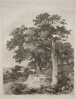 At Colney. Creator: John Crome (British, 1768-1821)