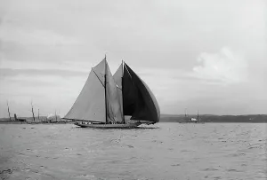 Colonia, 1896 June 16. Creator: Johns Johnston