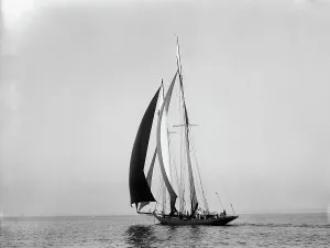 Colonia, 1897 Sept 6. Creator: Johns Johnston