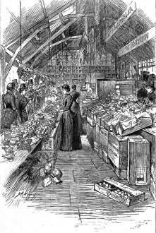 Stall Prints: The Colonial and Indian Exhibition; The Australian fruit stalls in the Colonial Market