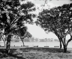 The Carolinas Prints: Colonial Lake, Charleston, S.C. between 1900 and 1910. Creator: Unknown
