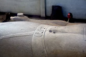 Detail from colossal statue of Rameses II, Memphis, Egypt, c13th century BC
