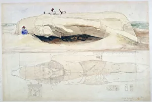 Colossus of Ramesses II, Memphis, 1845. Artist: William Henry Bartlett