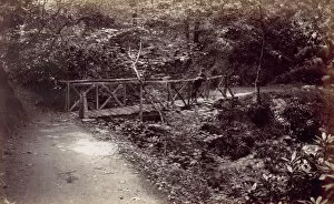 Colwyn Bay. Rustic Bridge in the Wood, 1870s. Creator: Francis Bedford