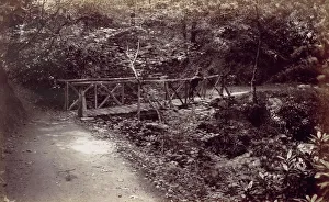 Colwyn Bay. Rustic Bridge in the Wood, 1870s. Creator: Francis Bedford Colwyn Bay. Rustic Bridge in the Wood, 1870s. Creator: Francis Bedford