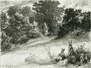 Etching And Drypoint Prints: Combe Bottom, 1860. Creator: Francis Seymour Haden