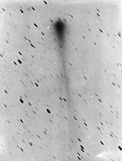 Comet Gallery: Comet 1892a, Swift, May 1892. Artist: Max Wolf