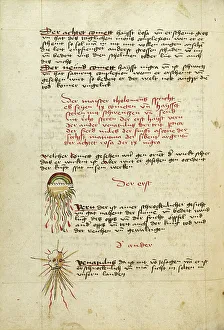 Watercolour And Ink Prints: Comets, shortly after 1464. Creator: Unknown