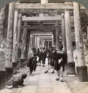 Images Dated 17th July 2008: Coming and going under long rows of sacred torii, Shinto temple of Inari, Kyoto, Japan, 1904