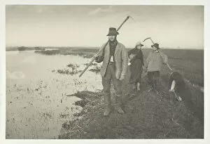 Returning Collection: Coming Home from the Marshes, 1886. Creator: Peter Henry Emerson