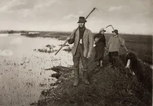 Marsh Prints: Coming Home from the Marshes, 1886. Creator: Peter Henry Emerson