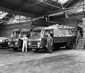Truck Prints: Commer Lorries at Spillers Foods Ltd, Gainsborough, Lincolnshire, 1962