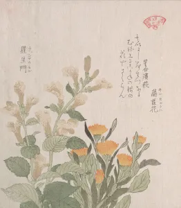 The Common Marigold and The Rajoman Flowers, 19th century. Creator: Kubo Shunman