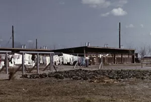 Washing Line Gallery: Community clothesline, FSA... camp, Robstown, Tex. 1942. Creator: Arthur Rothstein