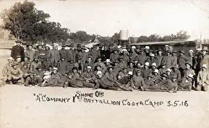 Mosman New South Wales Australia Prints: A Company 1st Battalion Coota Camp Postcard