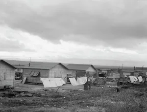 Huts Prints: Company cotton pickers camp after picking season
