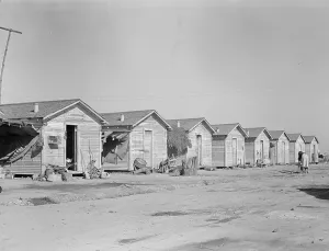 Shack Prints: Company housing for cotton workers near Corcoran