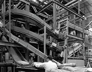 Conveyor Belt Prints: Complex conveyor delivery, Spillers Animal Foods, Gainsborough, Lincolnshire, 1962