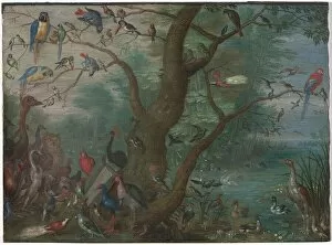Concert of Birds, 1660/1670. Creator: Anon