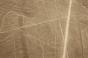 The Condor, Nazca Lines, Ica, Peru, 2015. Creator: Luis Rosendo The Condor, Nazca Lines, Ica, Peru, 2015. Creator: Luis Rosendo