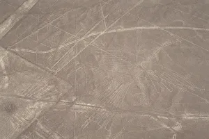The Condor, Nazca Lines, Ica, Peru, 2015. Creator: Luis Rosendo